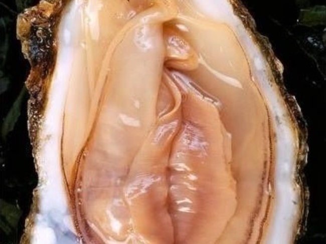 チ●コ、マ●コ… エロく見える画像