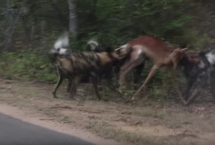 HFjaYlHc4Sxwewy1468809010_1468809021