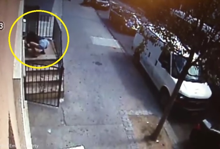 【動画】女の子が人ん家からヨークシャー・テリアを盗んでいく様子怖すぎ・・・