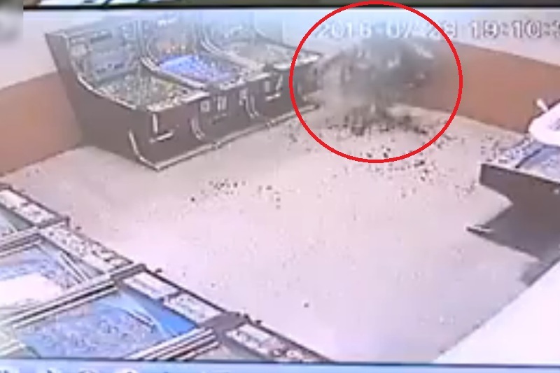 8ZWKC1AgI64qzwl1470198949