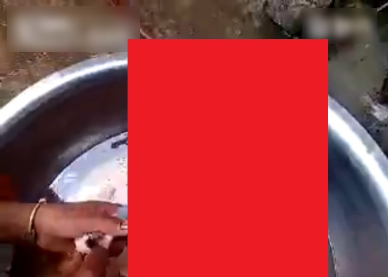 dB35RcLJGXY3Nlh1470881736