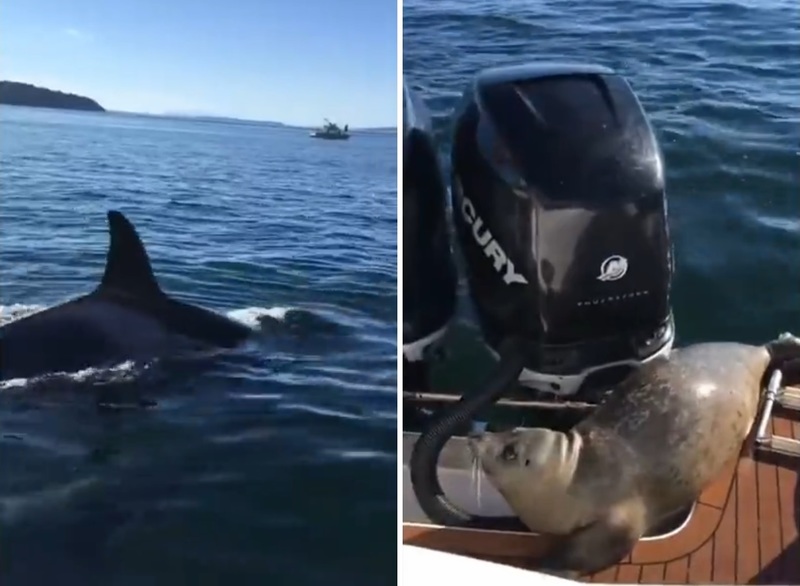 jQnRqNRWf4zfini1472095900