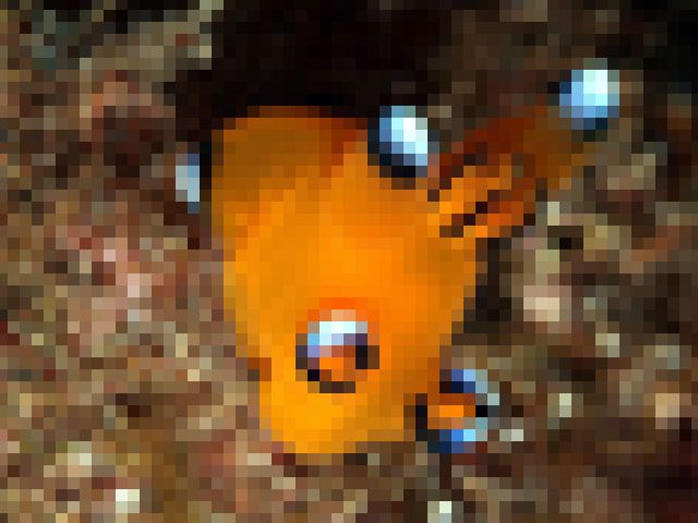 kako-TPgDSRQ9i8nbWldo