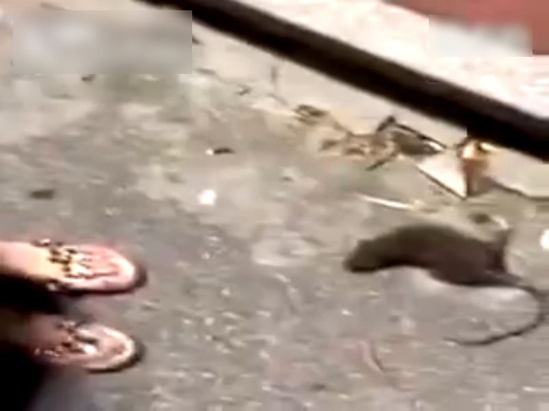 s1Lt2g9cphTQ4ds1472096691