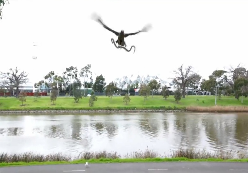 05lflCJHyTUFjza1472693602