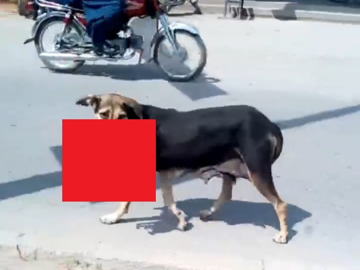 agbyiicamagbdsr1473480722