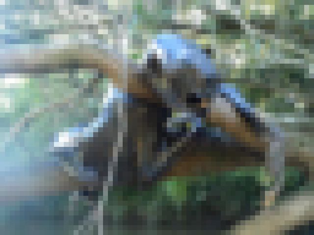 オーストラリアで明らかにヤバいクリーチャー（未確認生物）が発見される