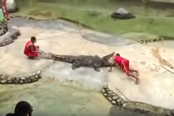 t1x0u1uiusii6ma1473311147_1473311153