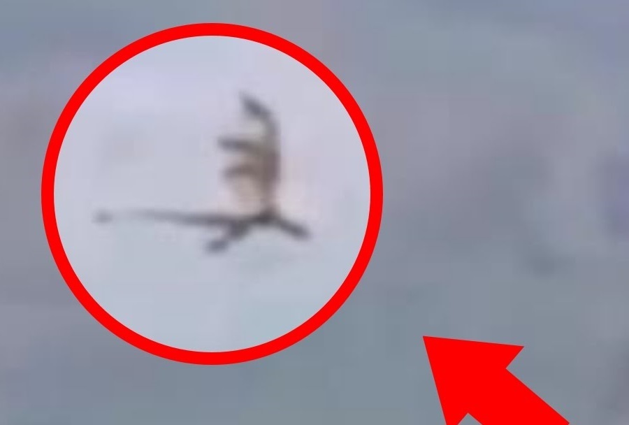 中国の上空で「ドラゴンとしか思えない」クリーチャーが撮影される（動画）