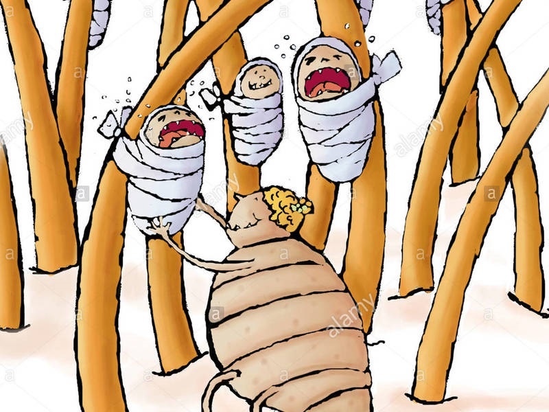 3mc1djgvolwwixc1476083250