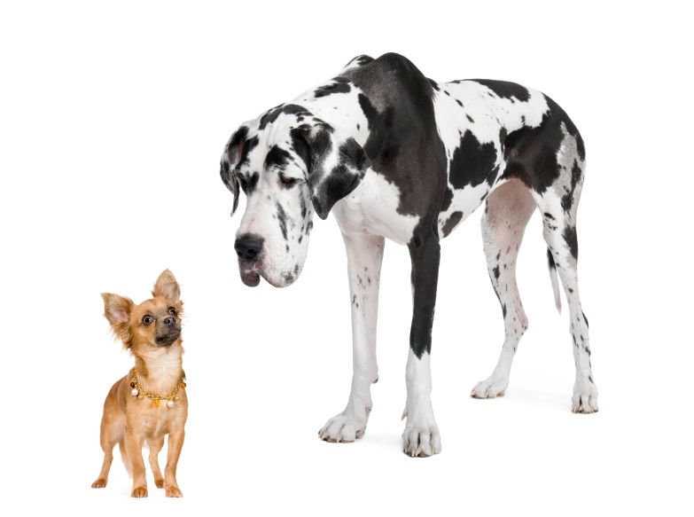 acfn0to595whc_u1480374054