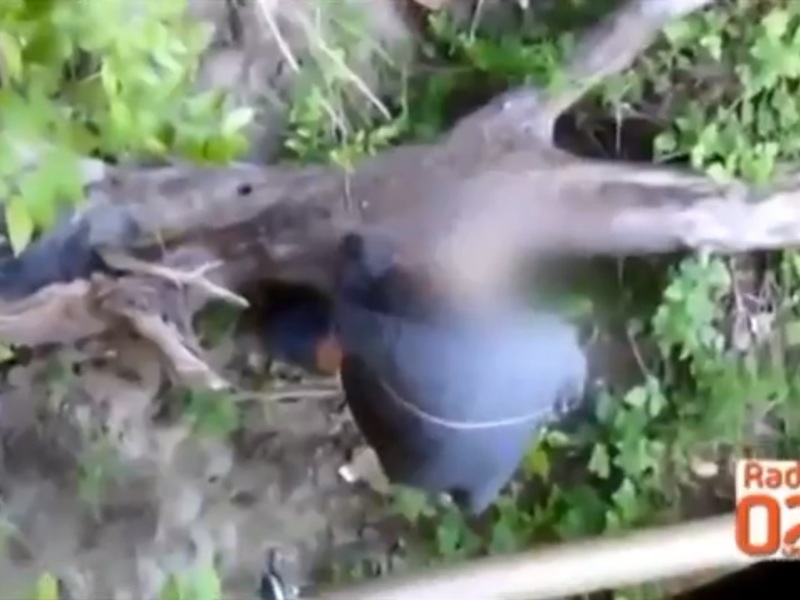 leune7c36iqyn7d1479523499