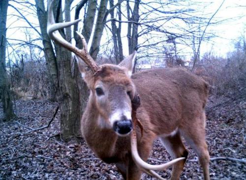 urodru20161129roga_2