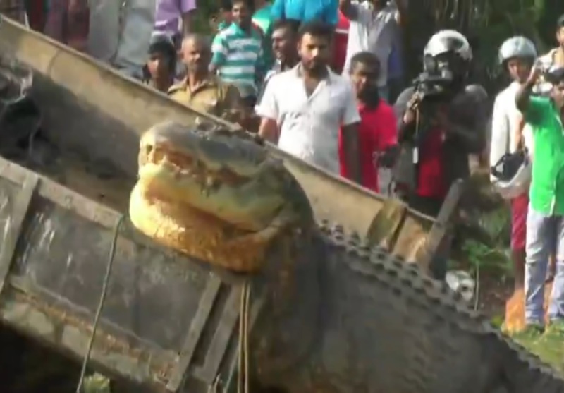 otsazcaguasof7d1478572670