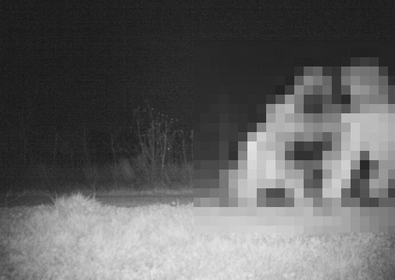 1gglr9hojwrdwvk1481763932