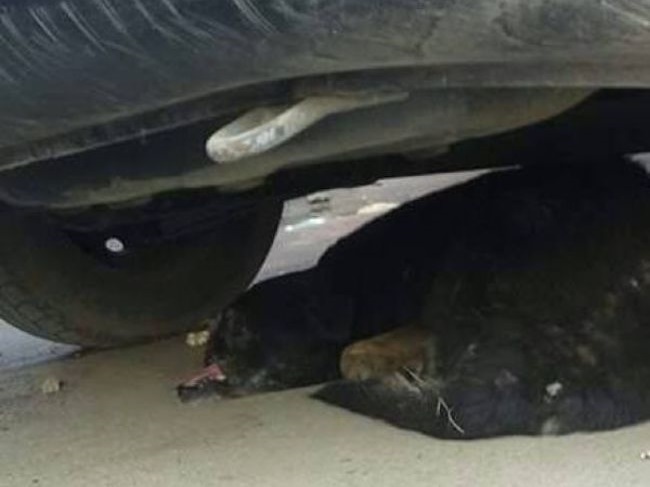 hggt2i7jmn48eaw1482275465