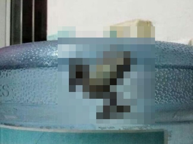 【画像】ウォーターサーバーのボトルの中に ”ヤバい生き物” 入ってて吐いた…