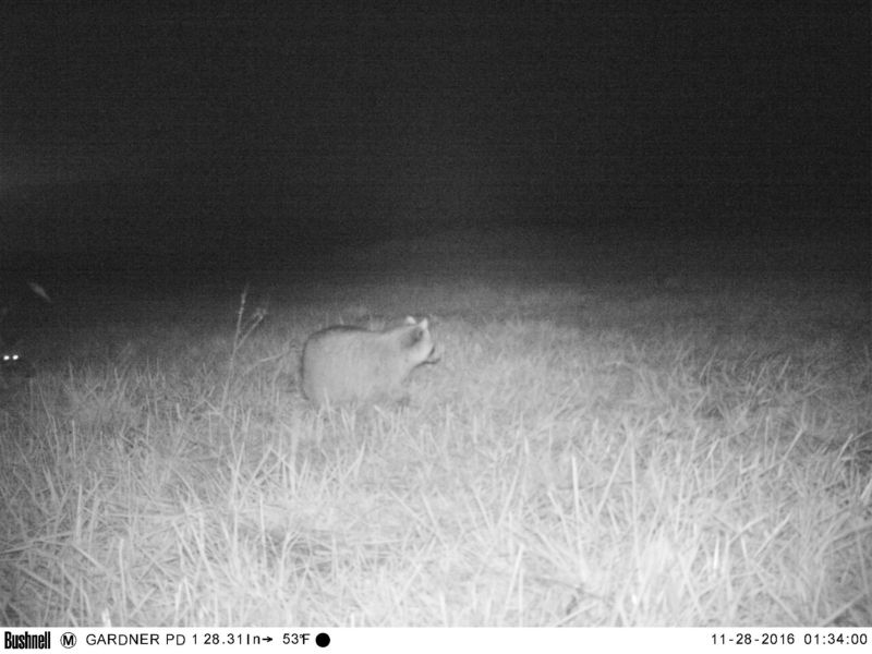 kamera-nabljudenija_02