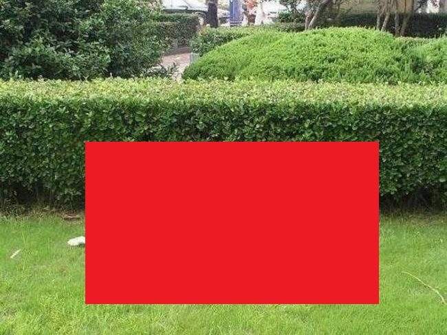 zcvdpzvonlxyfpu1481188383