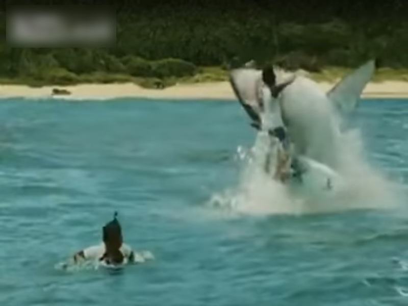 5McnukDCWiD9jYG1488162315