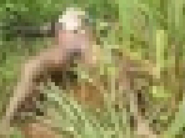 kako-vy7vkrSDxYiCf9y4