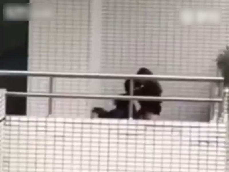 【動画】近所の高校盗撮してたら生徒がセ○クスし始めたんだけど…