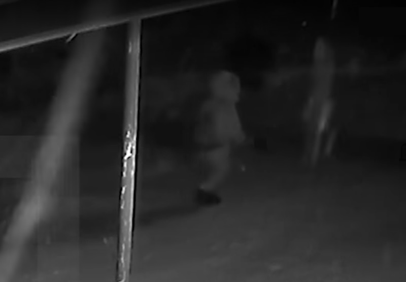 NXwNRLmB1GoNguQ1488511798