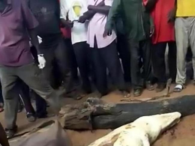 f9QzgPHTbSCsvx81489968236