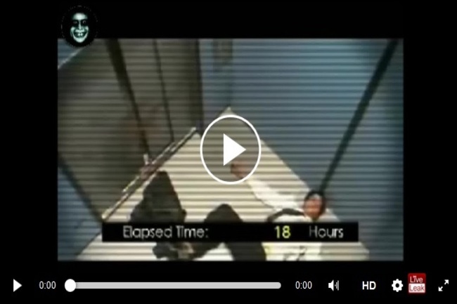 CGVlzR9Rbx23mR11493094777_1493094787