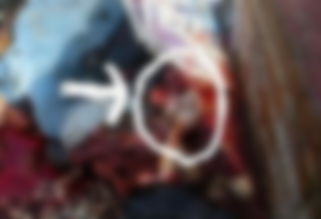 Hn7P9Wudt0VeZgX1492223708_1492223726