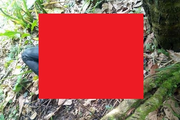 LmcIvTSZPalEnrK1492945419