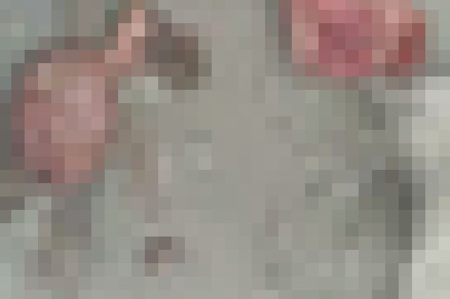 kako-6pZn8ovtwigq8QYs