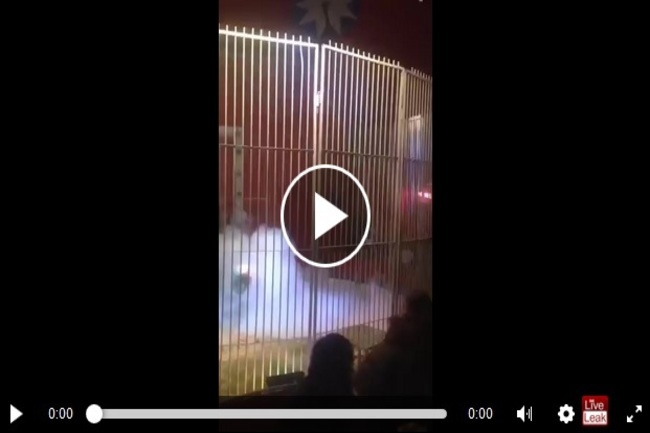 E7nUaCLUqKlslcY1494383647_1494383655