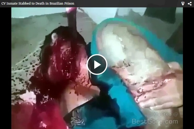 ExVO5J7g2tG1FdG1494996796_1494996873