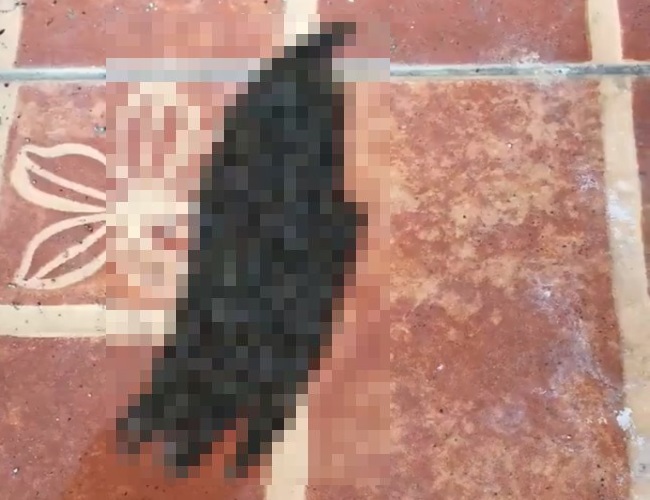 YIJFKJy6BOJ_FAX1494385533_1494385539