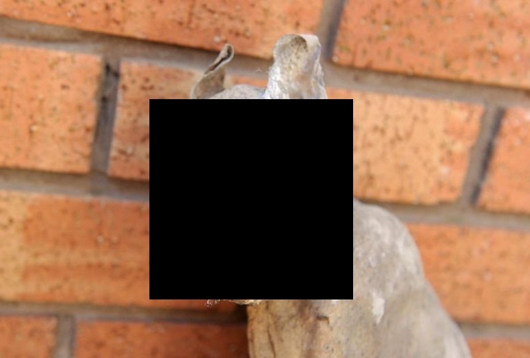 YMmXOMlUJjRrjqc1494892899