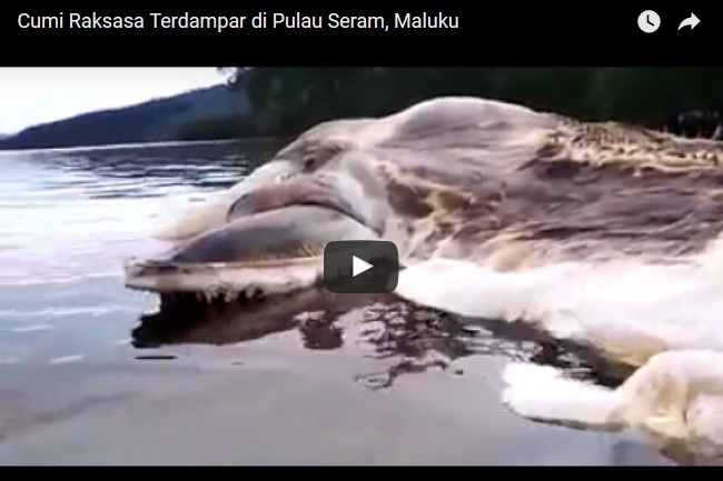 g2HEVj348xycYJu1494641792