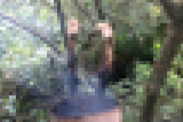 【閲覧注意】エゲツないぐらい拷問されたと思われる死体が発見される