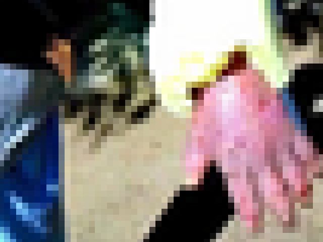 【閲覧注意】”世界最強のドラッグ” にハマった人間はこうなる（動画）
