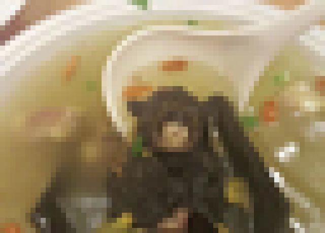 【閲覧注意】パラオ「海がキレイ！ 地上の楽園！」⇒ 晩御飯がこちら・・・（画像）