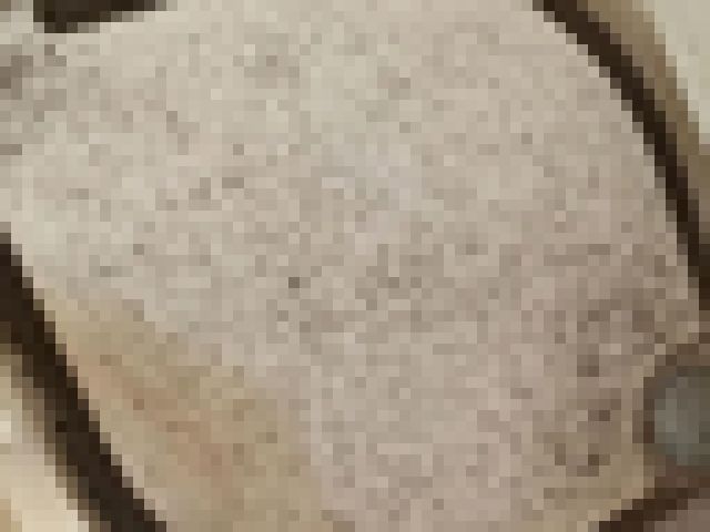 【閲覧注意】”絶対に真似してはいけない” お風呂の床めくったら、クッソやばい生き物が・・・