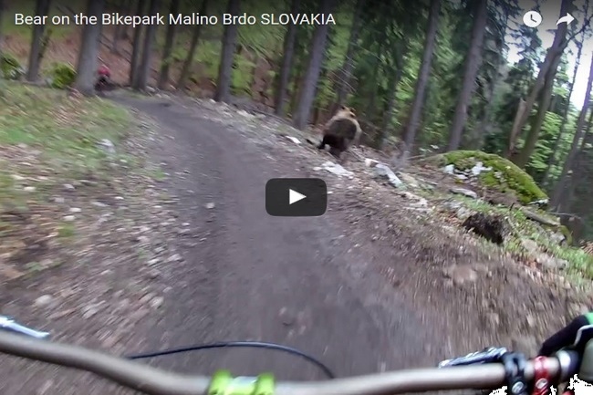 nx_U356abu97gB61494482196_1494482200