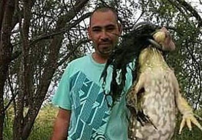 qHUz_2i_GV7OgOG1496188823_1496188850