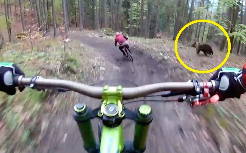 山の中を自転車で走ってたら●●が・・・3日で600万回再生されためちゃめちゃ怖い映像