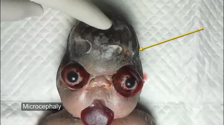 30842_Screenshot_2014-11-08-15-35-45-1