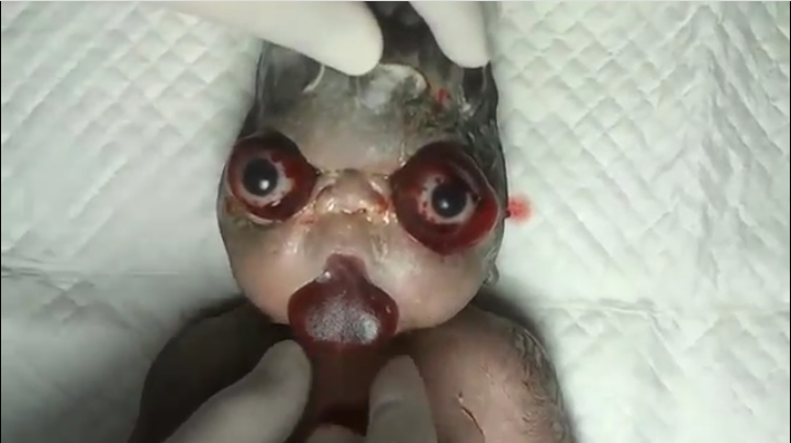 30846_Screenshot_2014-11-08-15-36-22-1