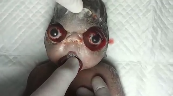 30847_Screenshot_2014-11-08-15-36-28-1