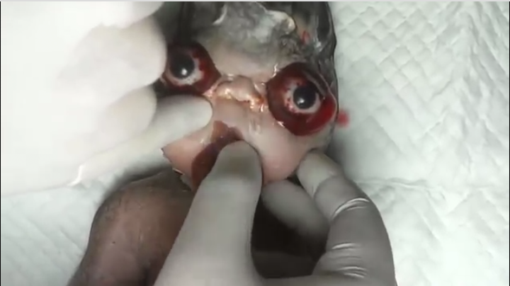 30848_Screenshot_2014-11-08-15-36-31-1