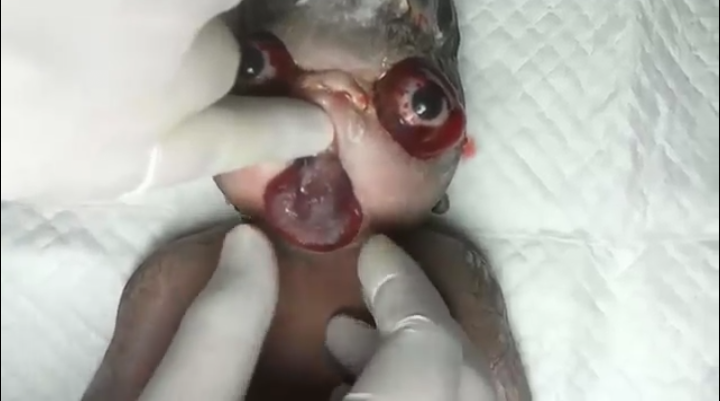 30849_Screenshot_2014-11-08-15-36-35-1