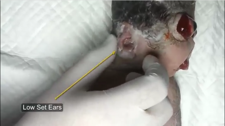 30851_Screenshot_2014-11-08-15-36-53-1